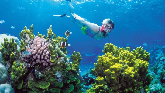 Scientists warn that coral reefs worldwide are likely to be wiped out if temperatures breach 2 degrees Celsius above the pre-industrial level.