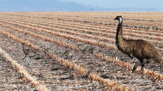 'Bad for farmers': Indian Ocean shift not positive for spring rains