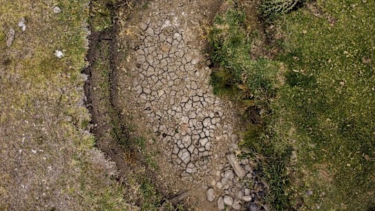 A dry creek on the property of Goolmanger dairy farmer Leigh Shearman in northern NSW. She has had to have fodder trucked in to feed her cows due to the drought. fedpol nswdrought  Photo: Alex Ellinghausen Monday 18 November 2019.