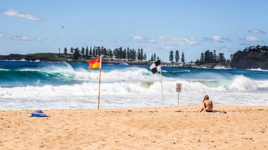 'There are genuine concerns': Marine Parks fishing bans could be junked