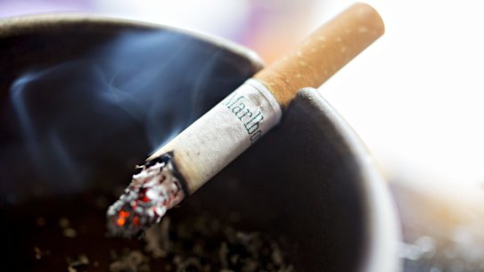 different tobacco pouches Pouch Q&A: Highest MG (strongest) snus / nicotine pouch product I've tried  #snus #nicotinepouches #nicotinepouch #Zyn #Velo