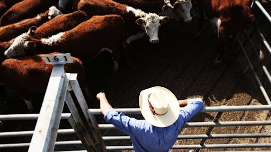 US farmers are targeting Australian beef.