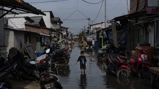 New satellite detection methods have identified 267 million people living at elevations of 2 metres or less above sea level. About two-thirds are located in the tropics, with Indonesia home to the largest population at risk as sea levels rise because of climate change.