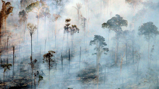 Deforestation and bushfires are changing the climate in parts of the Amazon, and also switching the basin from being a carbon sink to contributing to global carbon-dioxide levels.