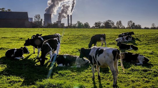 A new global standard that will improve companies’ transparency on climate change was launched at COP26 in Glasgow