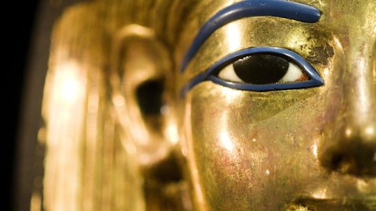 Australian Museum bracing for 'nine visitors every minute'