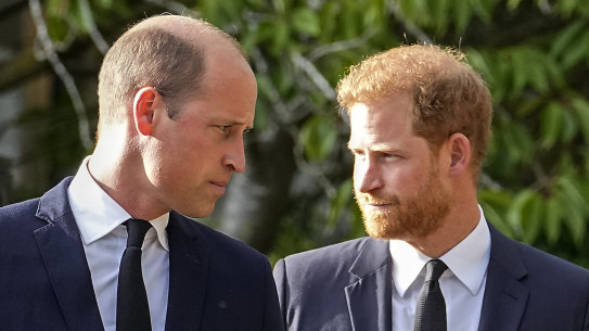 Princes William and Harry have famously fallen out in recent years.