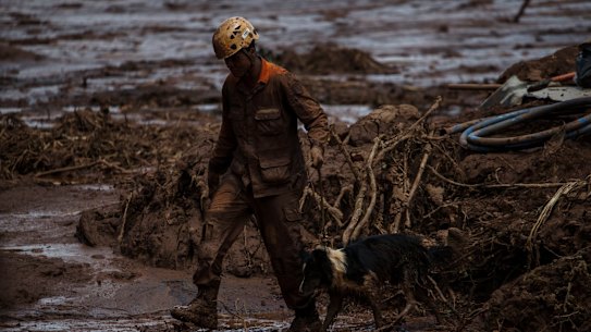 A rescue worker leads a dog through the damage after the Vale dam burst in Brazil in January.