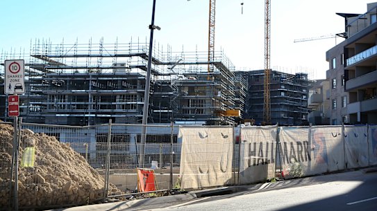 A Sydney council has urged the government to broaden the definition of a property developer amid moves to ban them from being councillors.