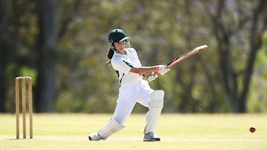 There was a rise in the number of female, junior, Indigenous, multicultural and disabled cricket players in 2019-20.