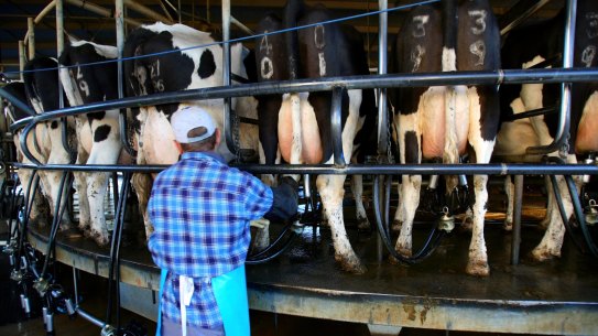 Dairy farmers will be told what they will be paid over the life of their contracts under the new code.