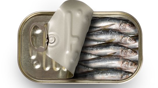 Tinned sardines, generic.