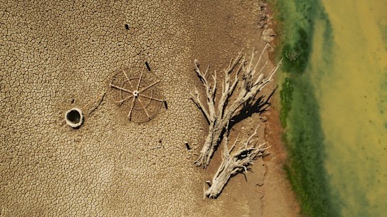 Dams in the Murray Darling Basin have dried up in one of the worst  droughts in history.
