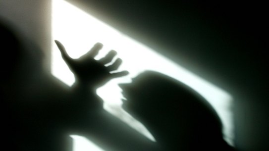 The government must help by preserving and extending programs preventing domestic violence.