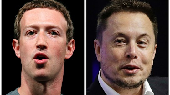 Billionaire hit: Mark Zuckerberg and Elon Musk.