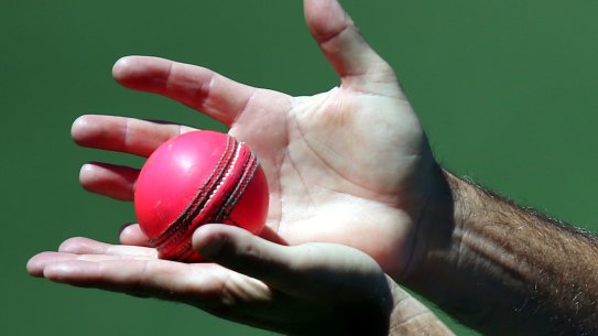 Brisbane and Adelaide are both keen on day-night Tests.