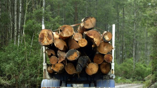 Old growth logging is being phased out.