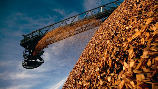 The Maryvale Paper Mill.