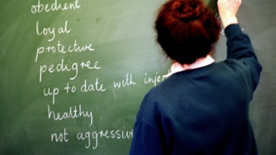 A major review of the NSW Curriculum is under way. 