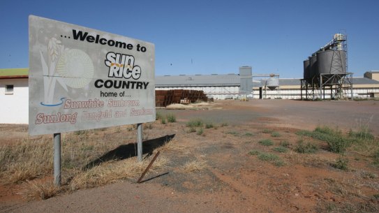 Drought-hit Deniliquin and Leeton are set to lose 230 manufacturing jobs as rice processor SunRice winds back to one shift due to drought. 