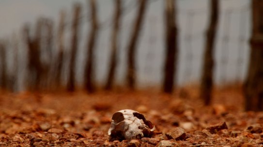 The RBA has warned Australian businesses need to take seriously the threat of climate change.