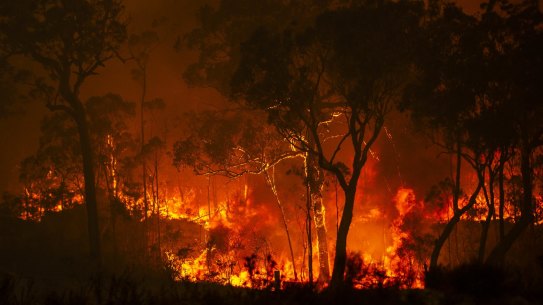 Mangrove Mountain. 5th December 2019.