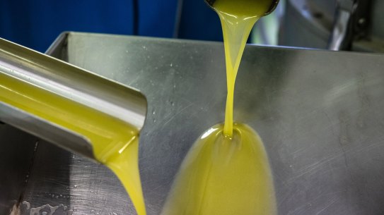 Freshly pressed olive oil pours into a vat following the removal of impurities at a mill in the Cabaces district of Tarragona, Spain.