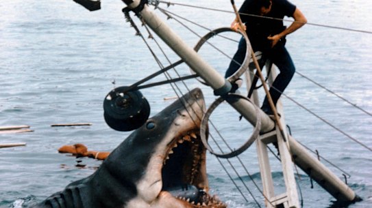 'You're going to need a bigger boat" - the RBA knows it needs help if it is going to drive unemployment lower