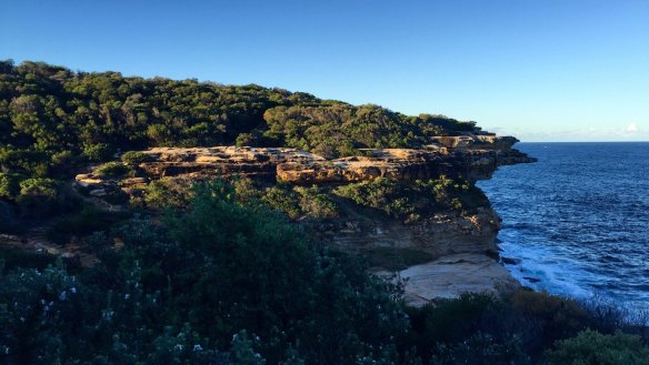 Sydney's Coastal Track, Royal National Park. Photo credit: Annie Dang
