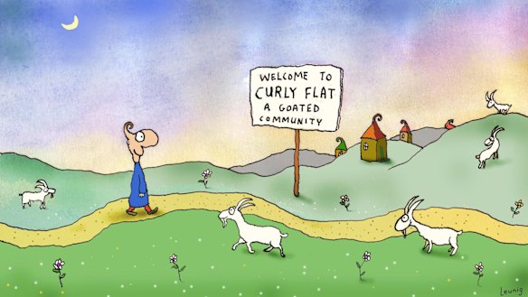 Summer of Goats, January 2015.