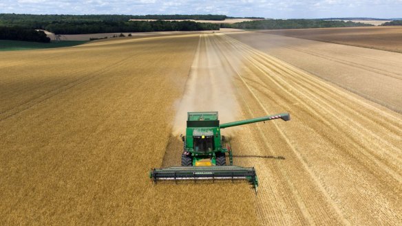 China has lifted tarrifs on Australian barley. 