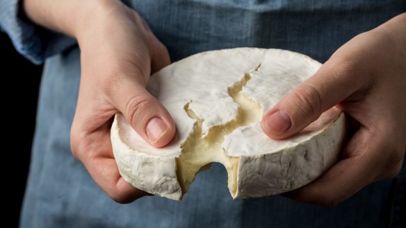 Camembert cheese.