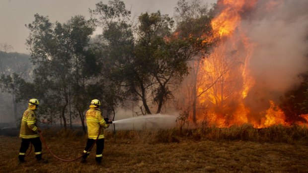 'The worst is ahead': NSW faces multiple bushfire emergencies