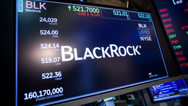 BlackRock sees 'Rip Van Winkle' risks as pandemic hurts globalisation