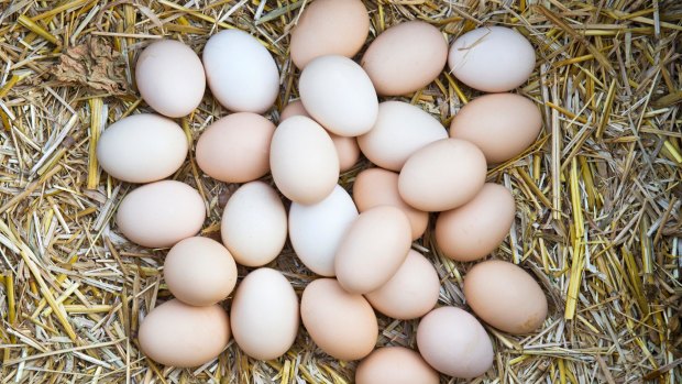 Consumers urged not to stockpile eggs as Coles imposes limits