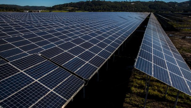 Queensland solar farm tapped to power technology giant