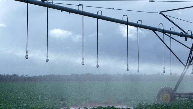 We're not hoarding water, says ASX-listed water company