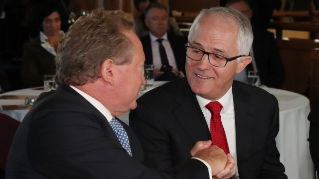 Malcolm Turnbull to stay at Fortescue despite defunct green board