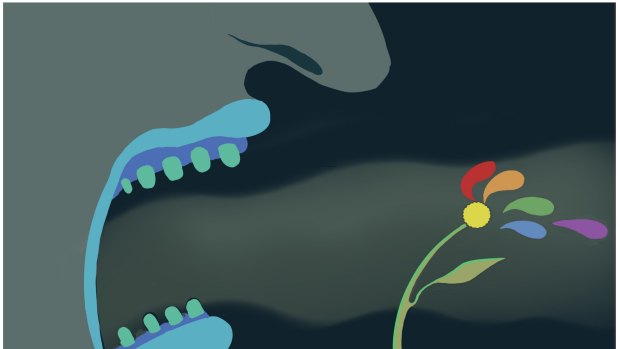 Dyson drawing re anti-Gay protests, Age Opinion 10 May 2023