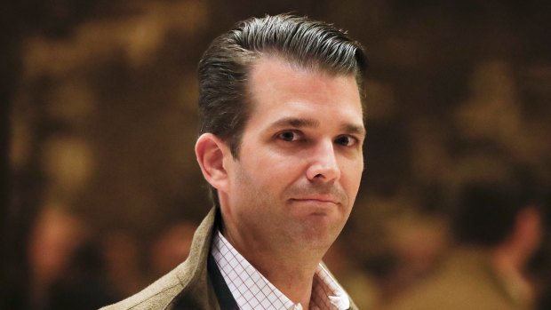 African American museum site deletes 'whiteness' chart after Trump jnr criticism