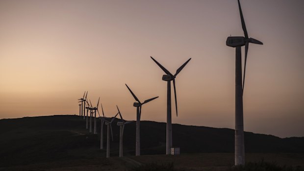 Record levels of renewable energy in the electricity grid are displacing coal and driving down emissions.