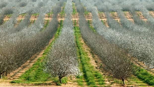 'In the sweet spot': Canadian firm lobs $854m takeover bid for agri group Webster
