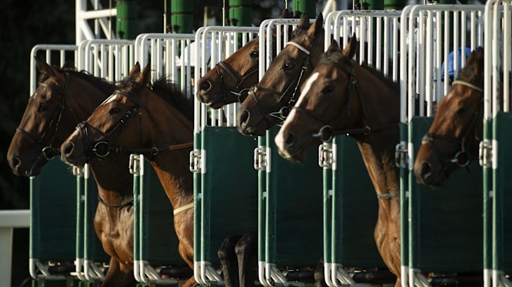Promising Gosford grey primed for her most ambitious challenge