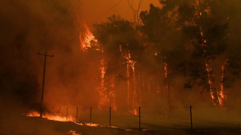 NSW fire conditions to worsen as severe heatwave set to hit Australia