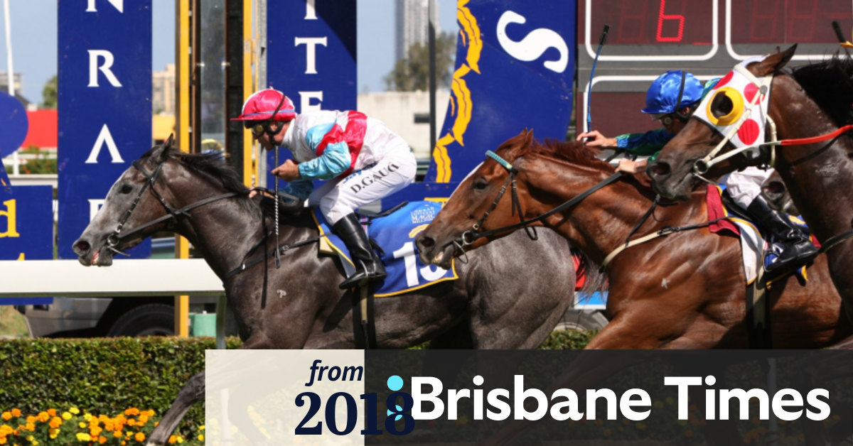 Cox Plate Day Strike Confirmed In Queensland Melbourne Cup Races A Waiting Game