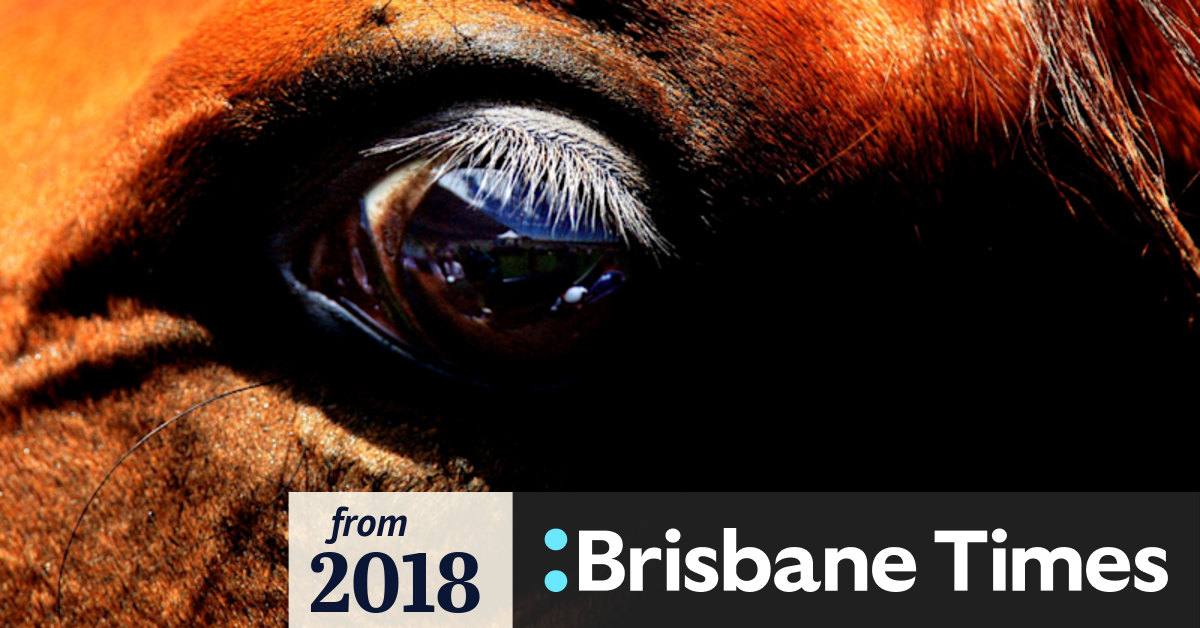 Toowoomba trainer Mark Currie wins stay on two-year ban
