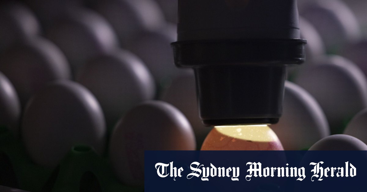 Bird flu Australia: Victorian child confirmed to have rare H5N1 bird flu - Vimarsana News
