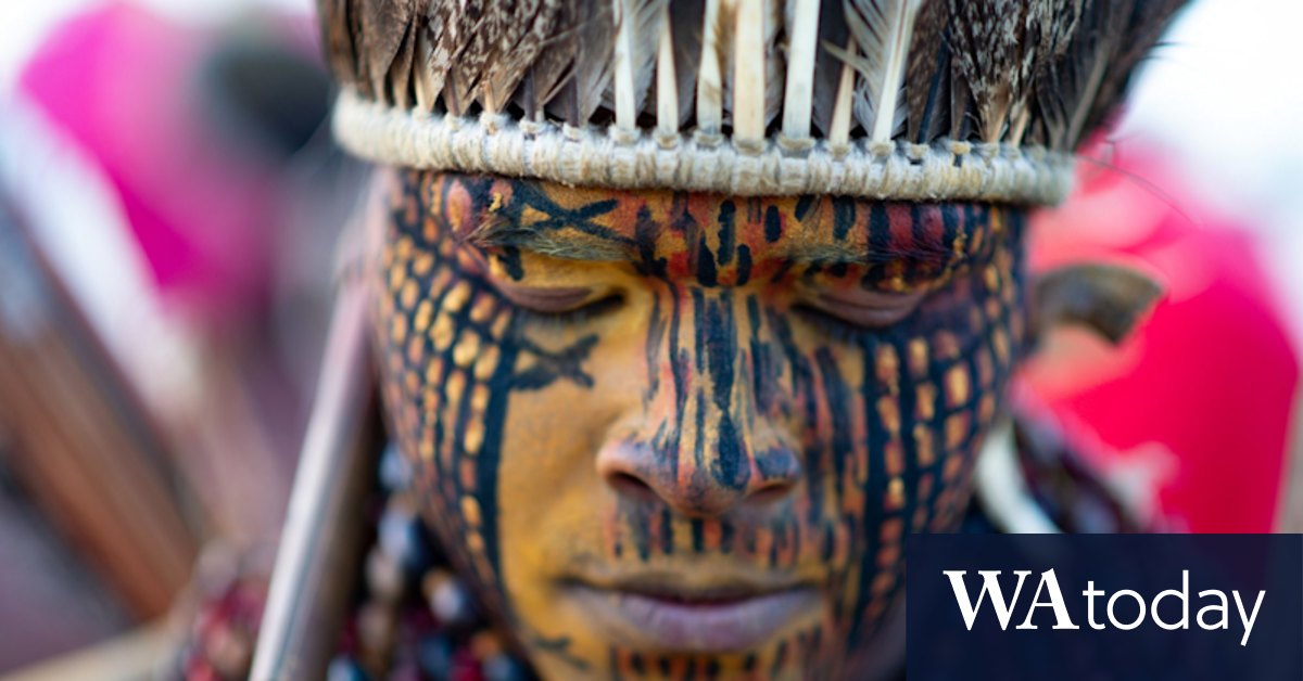 Amazon rights: Tribes launch bid to protect forest at global conservation forum, want meeting with Emmanuel Macron - Vimarsana News