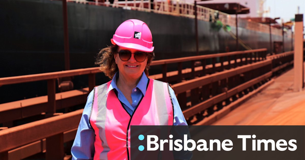 Gina Rinehart miner nets massive $7.3b profit off bumper year for iron - Vimarsana News
