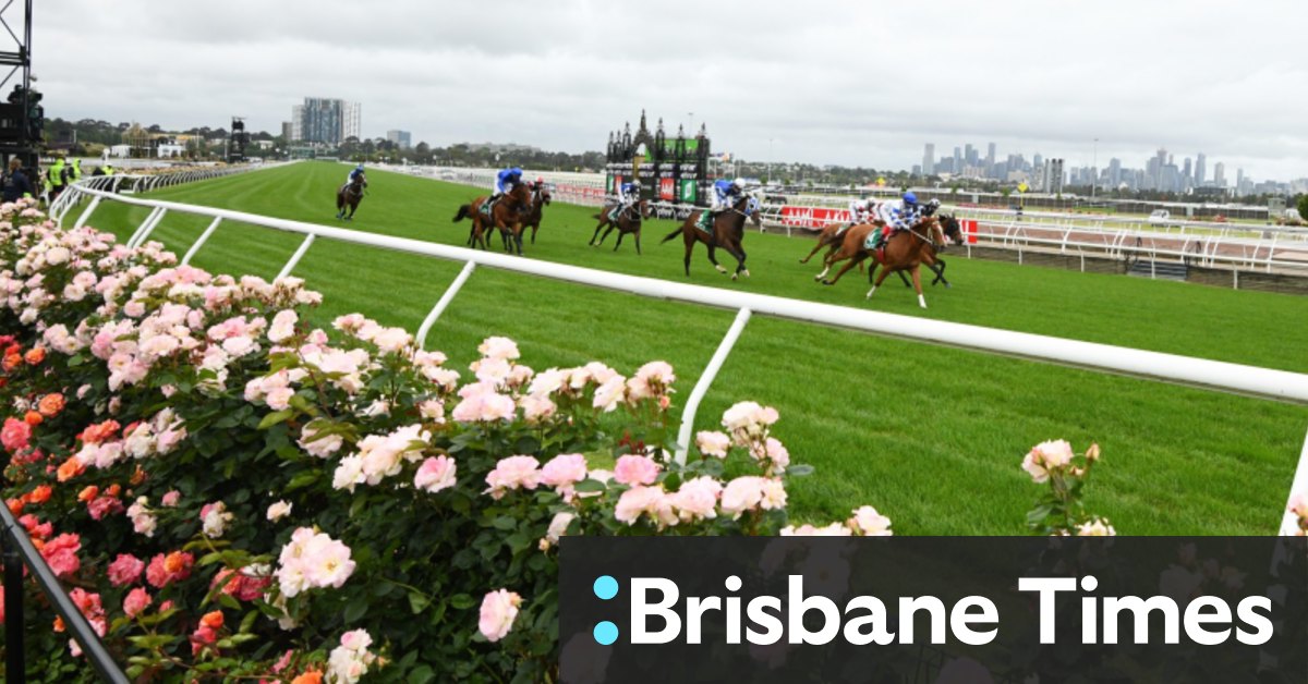 Melbourne Cup Flemington's roses in full bloom but few can admire them